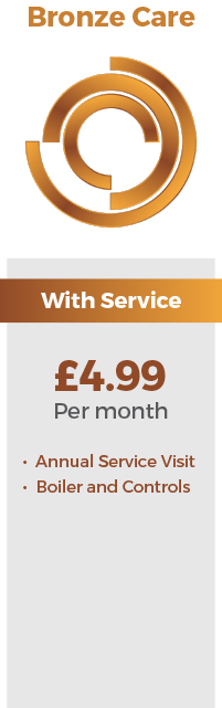 Gas Bronze Care Maidstone