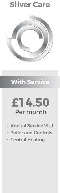 Gas Silver Care Maidstone